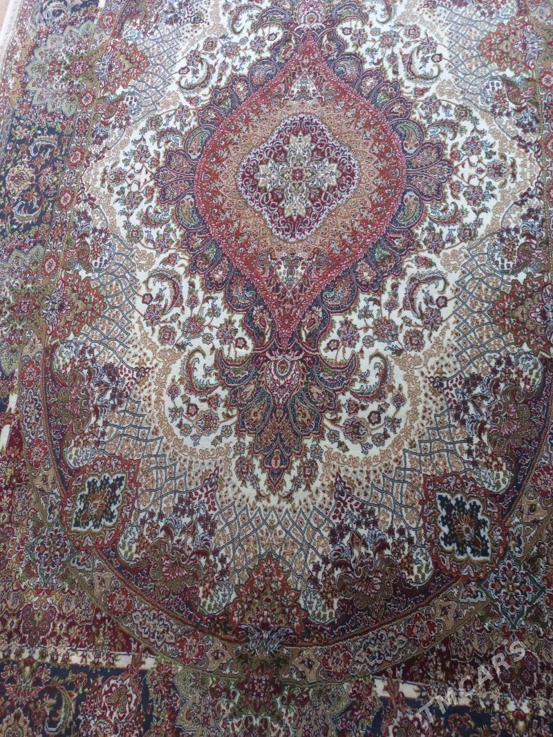 haly - Täze zaman - img 1