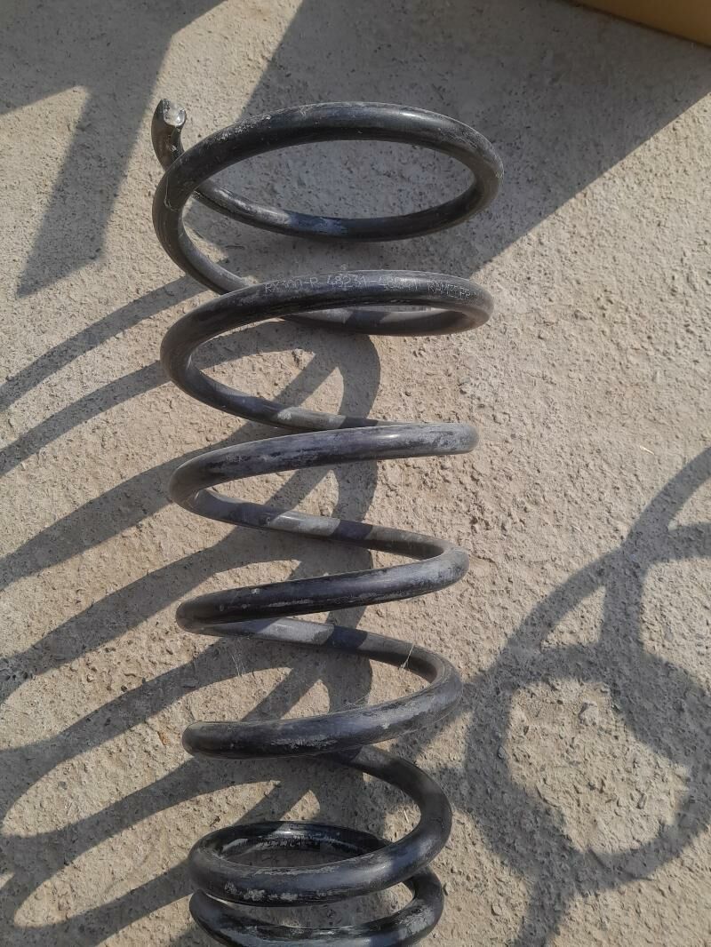 purjin 180 TMT - Койтендаг - img 2