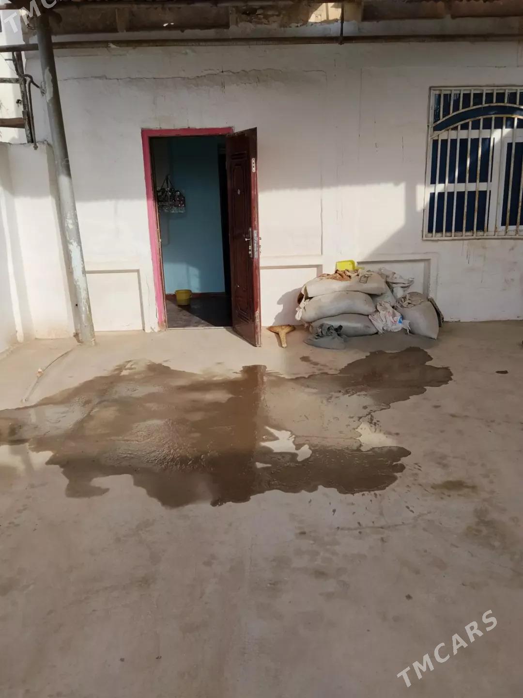 tejen satlyk jay - Tejen - img 9