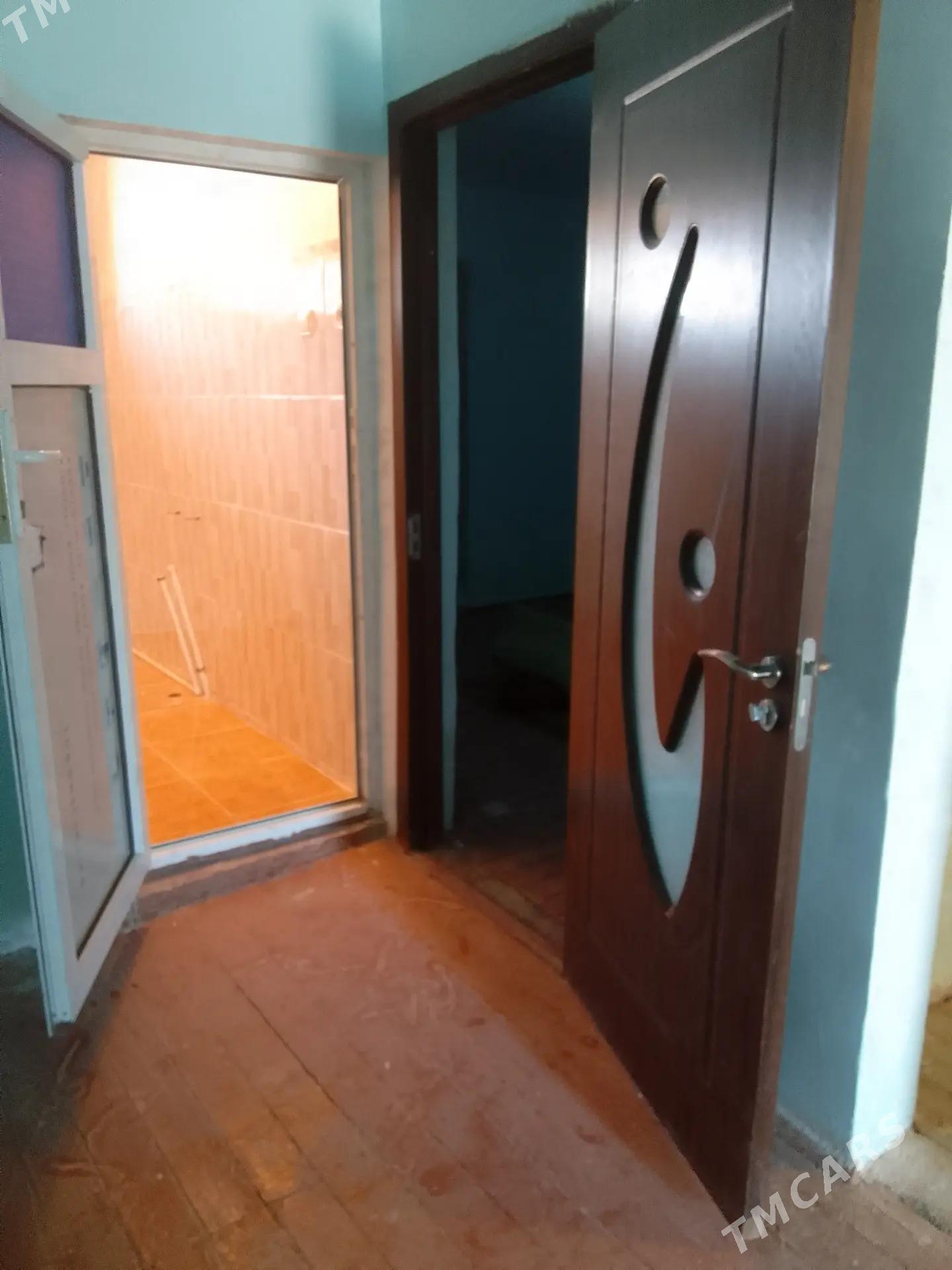 tejen satlyk jay - Tejen - img 5