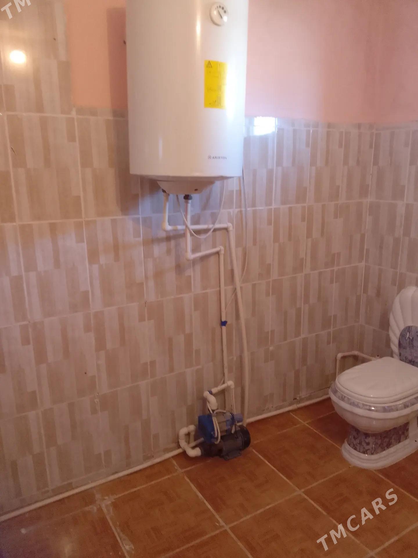 tejen satlyk jay - Tejen - img 4