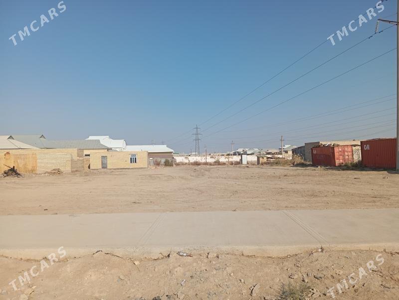 Satlyk Yer Gussagly ️ - Mary - img 7