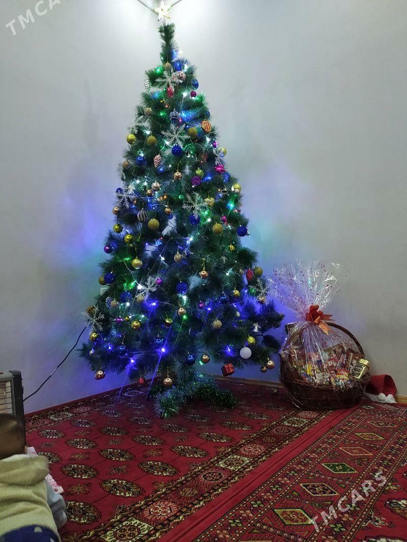 Yolka - Дашогуз - img 2