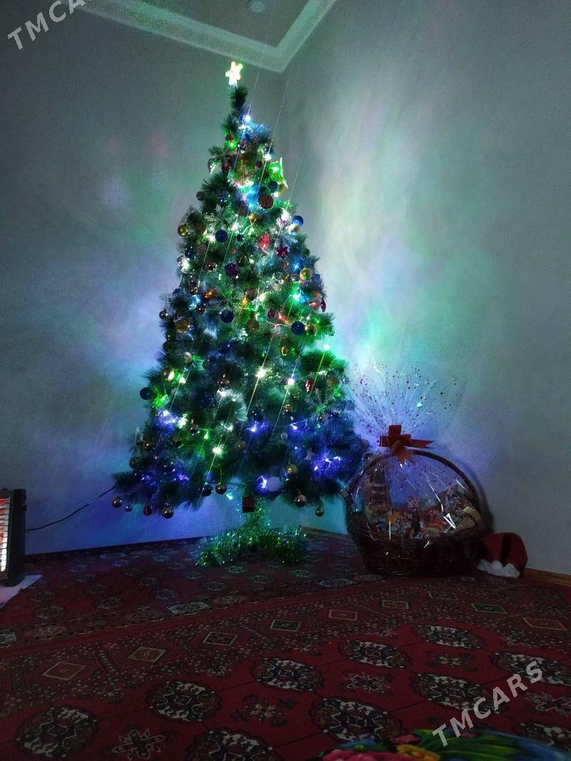 Yolka - Дашогуз - img 3