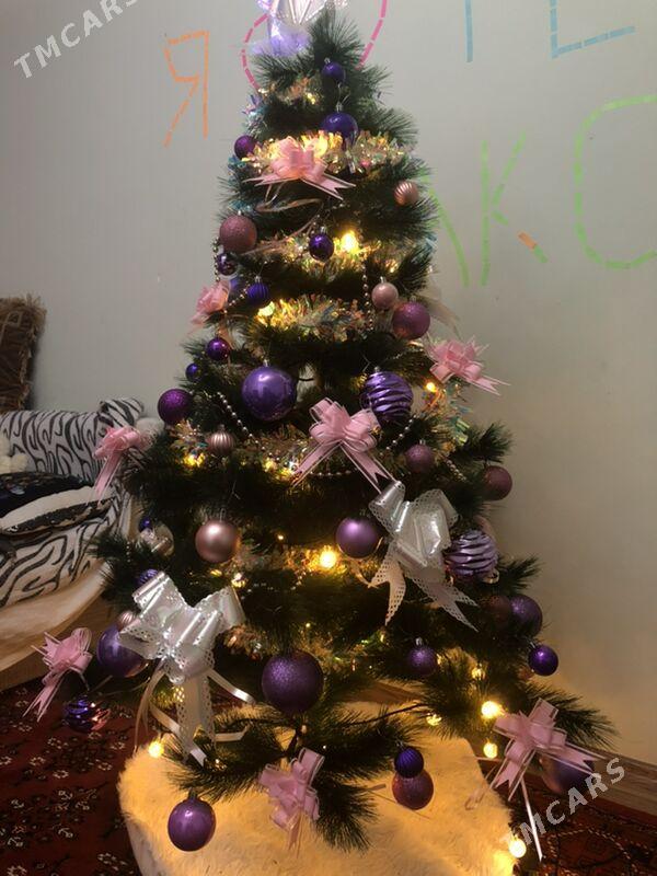 Елка без игрушек - Кëши - img 2