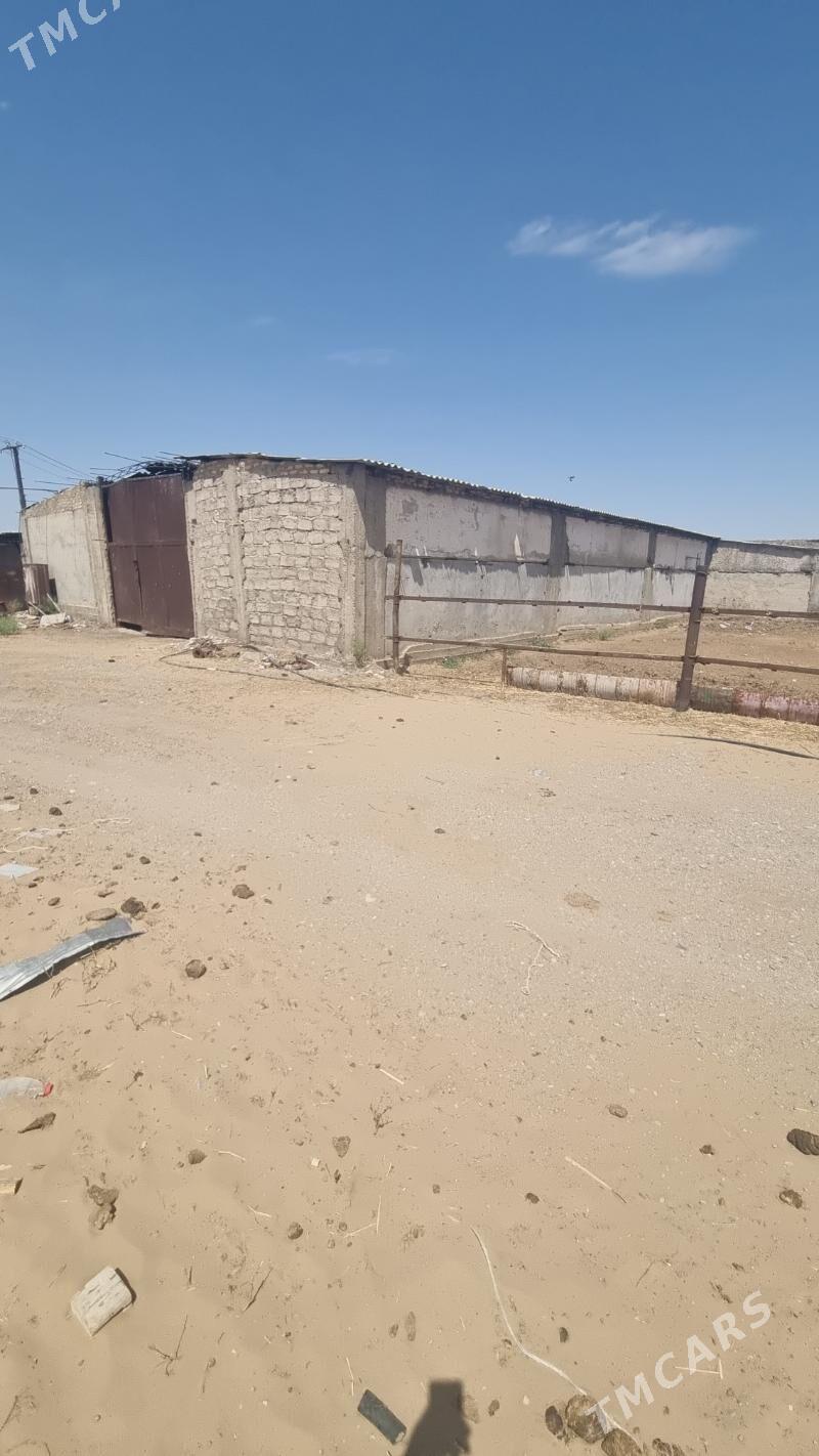 Mal ferma arenda - Ак-Бугдайский этрап - img 5