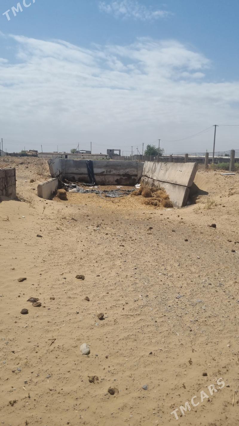 Mal ferma arenda - Ак-Бугдайский этрап - img 8