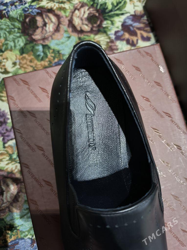 kowus Intermod - Mary - img 2