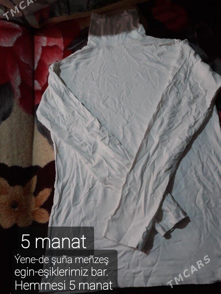 Egin-eşikler - Туркменабат - img 2