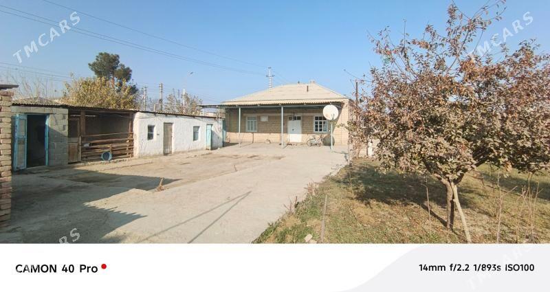 Satlyk jan 8-sotak giň howly - Bäherden - img 1