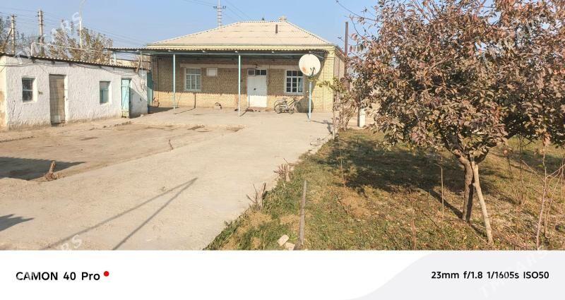 Satlyk jan 8-sotak giň howly - Bäherden - img 2