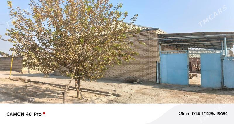 Satlyk jan 8-sotak giň howly - Bäherden - img 3