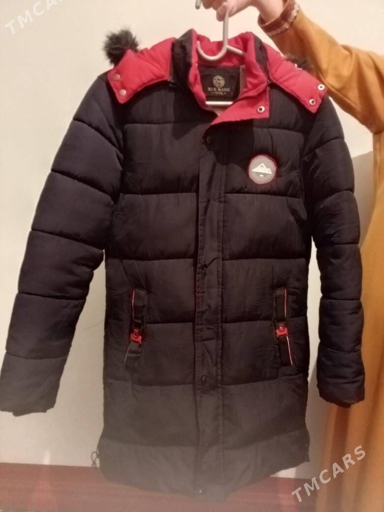 Kurtga uzyn - Daşoguz - img 3