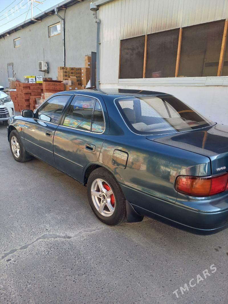 Toyota Camry 1996 - 81 000 TMT - Mary - img 6