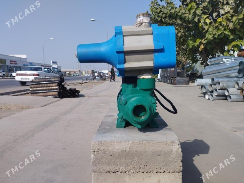 shimge 70lik - Mary - img 2