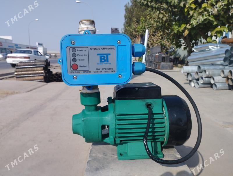 shimge 70lik - Mary - img 3