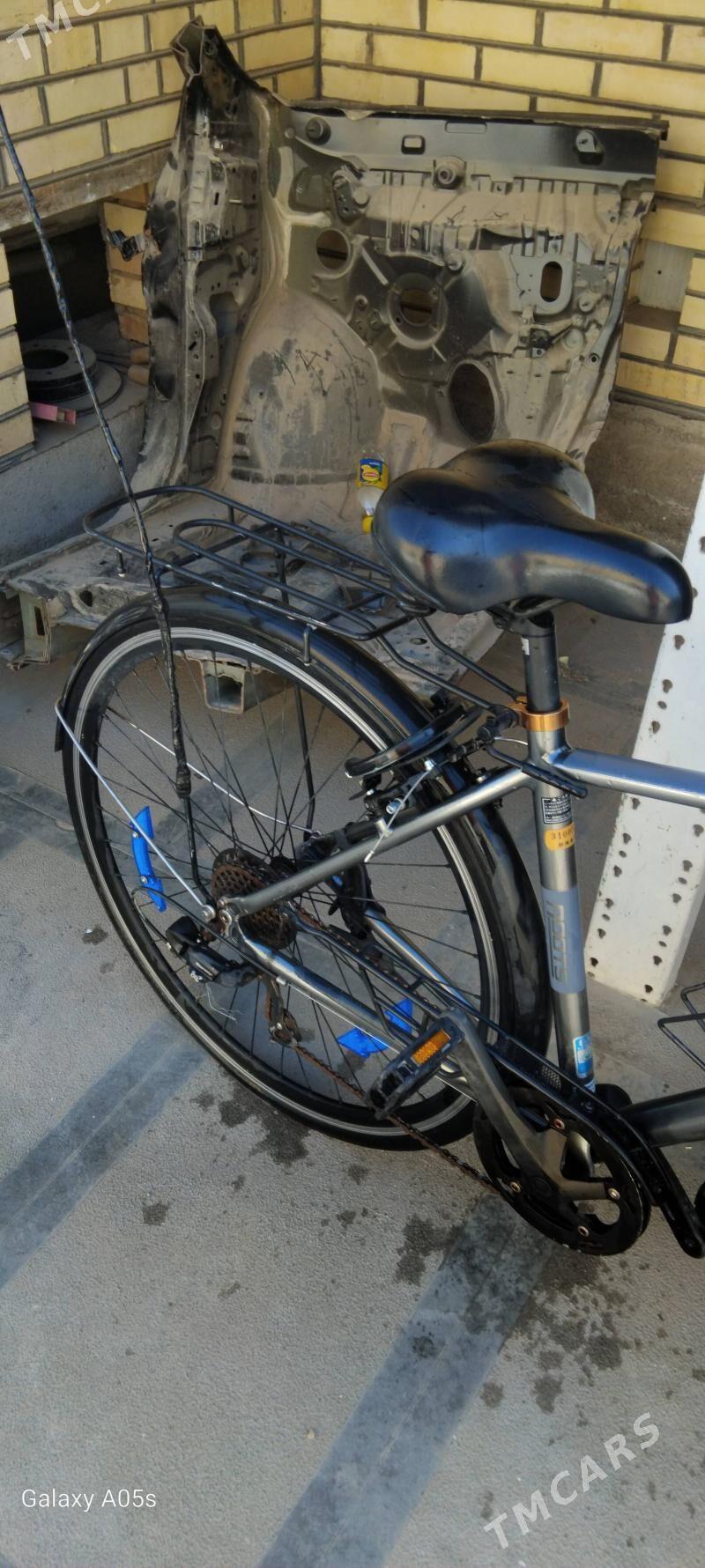 welik - Mary - img 1