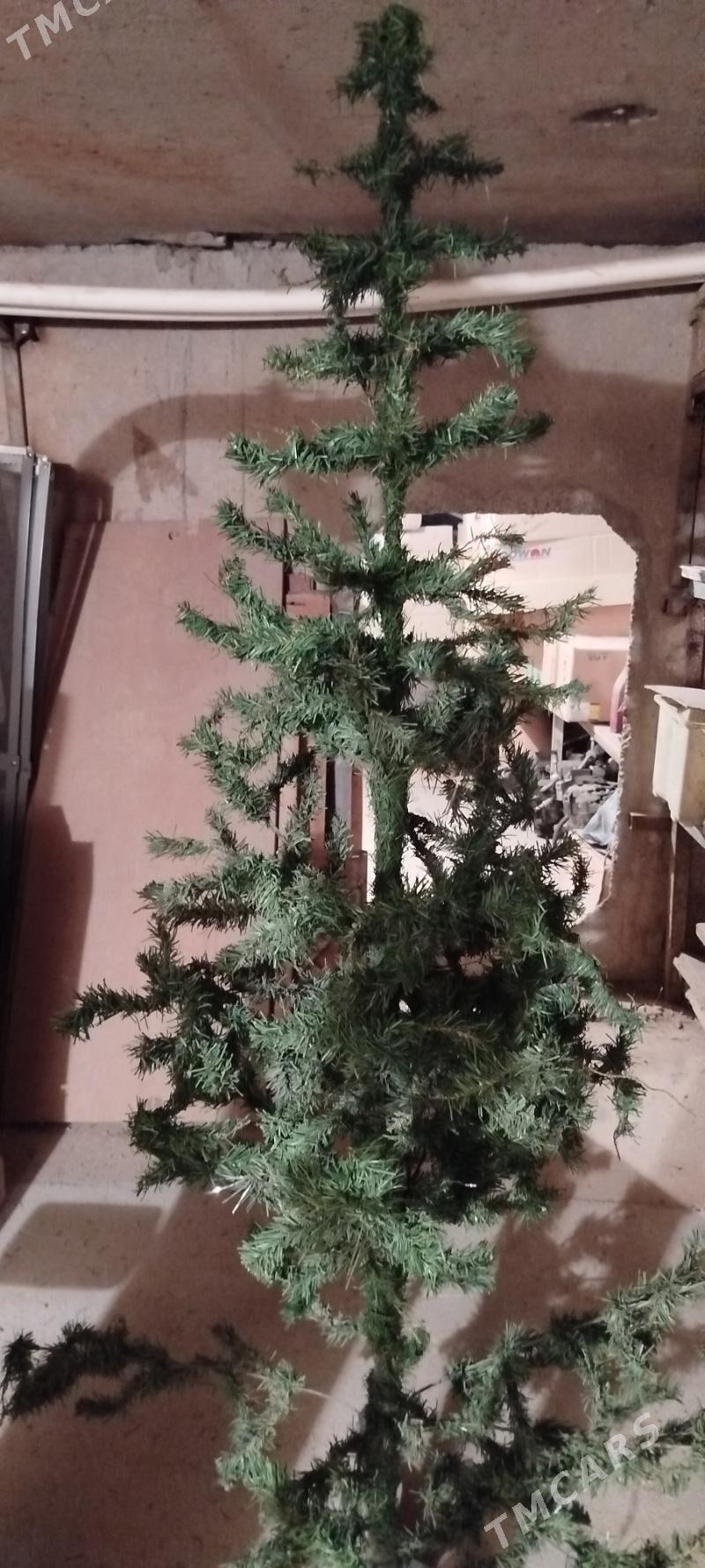 Yolka - Ашхабад - img 3