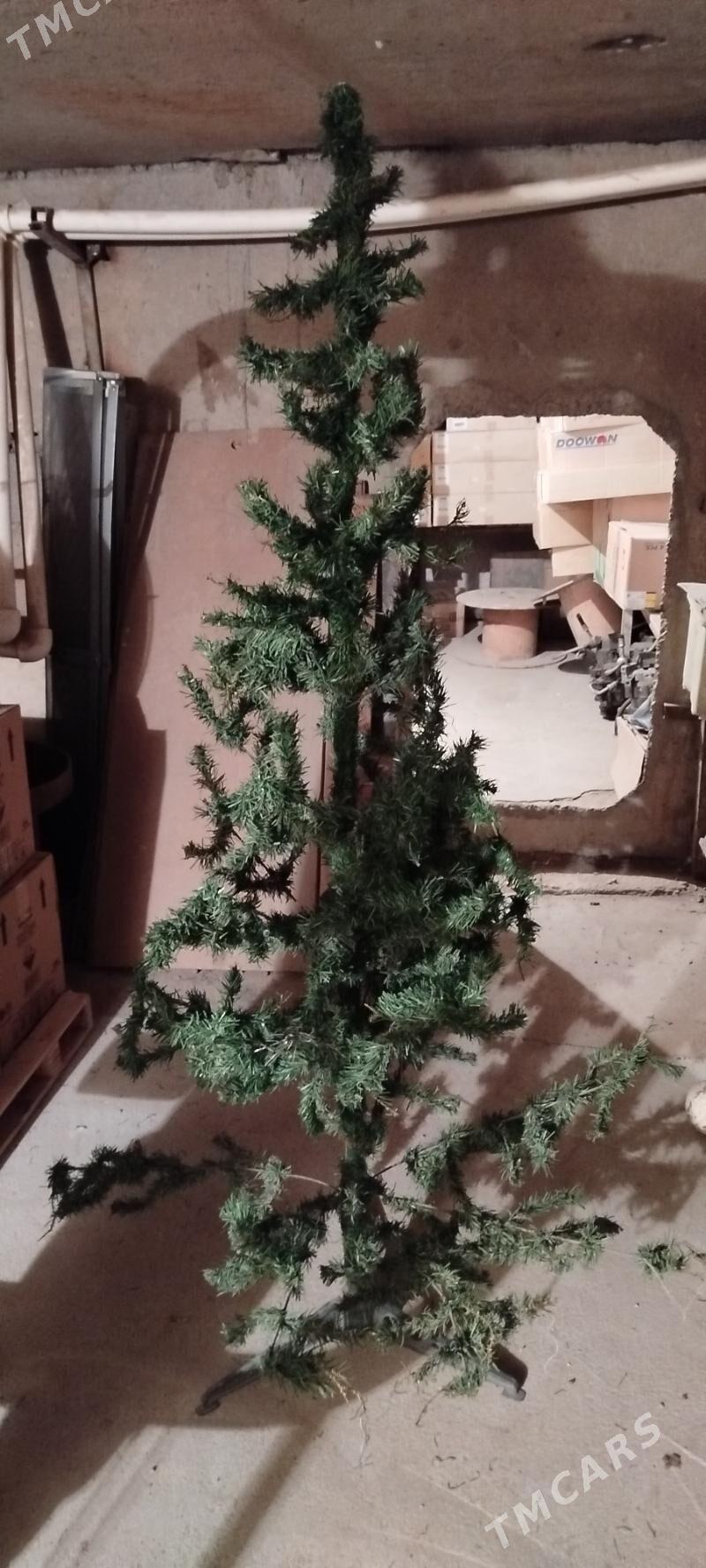 Yolka - Ашхабад - img 4