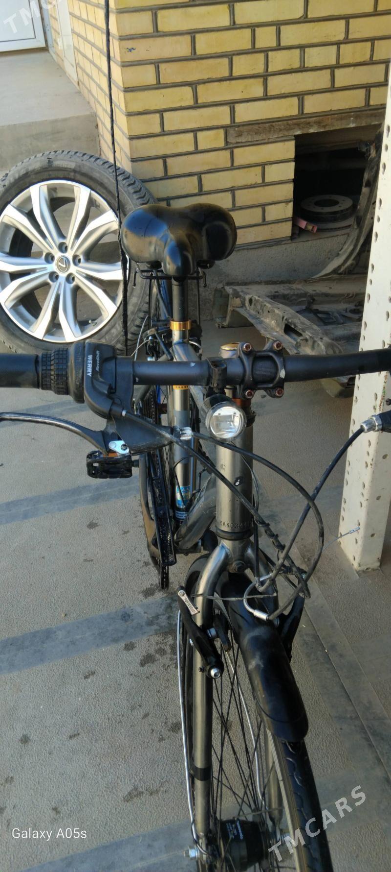 welik - Mary - img 3