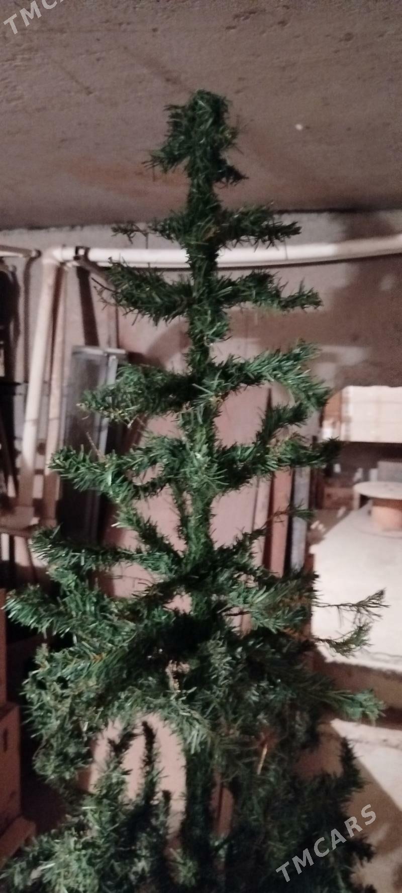 Yolka - Ашхабад - img 2