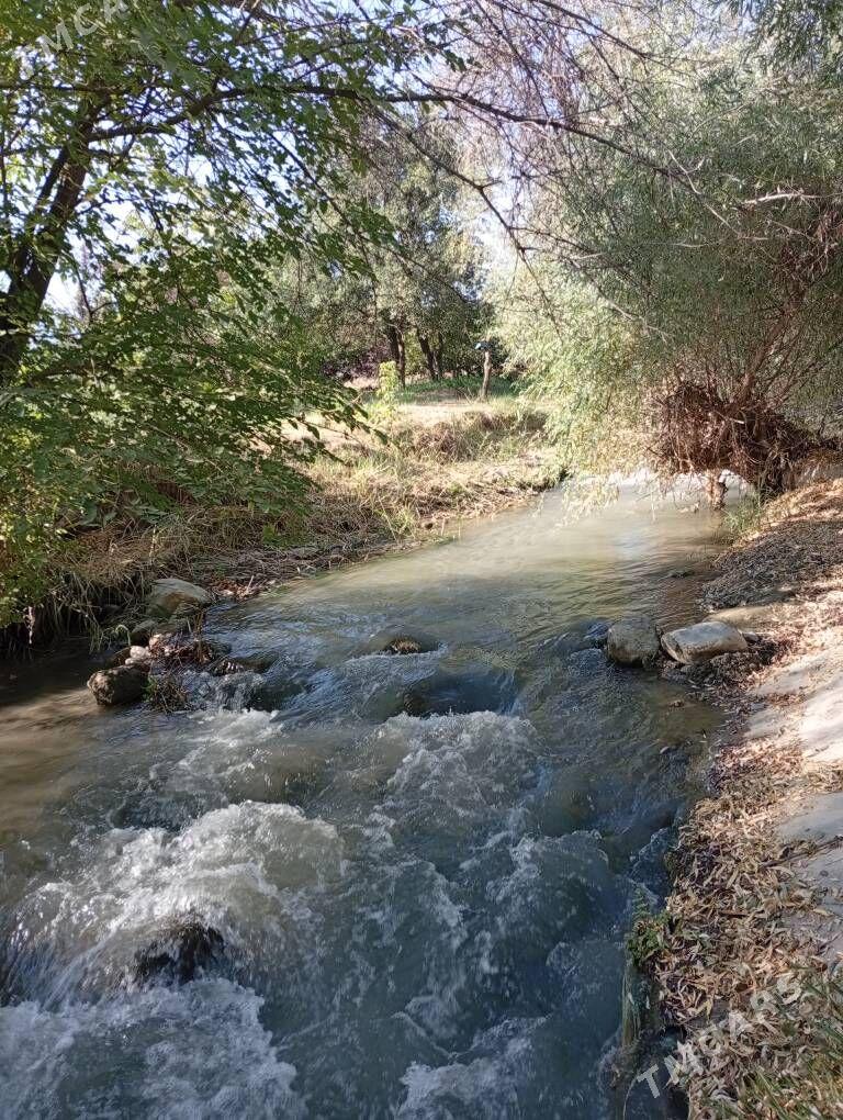 daca - Gökdepe - img 5