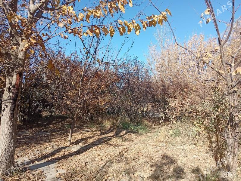 daca - Gökdepe - img 3