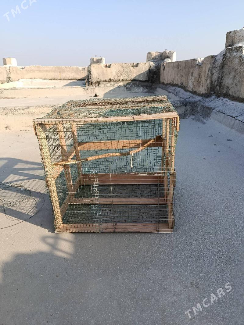 kletka,клетка - Aşgabat - img 3