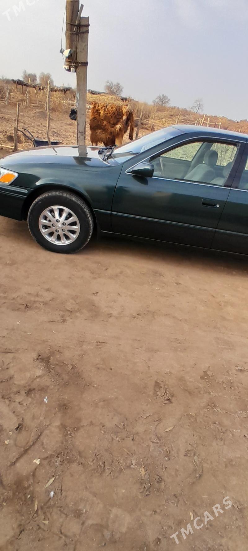 Toyota Camry 1999 - 155 000 TMT - Кёнеургенч - img 5