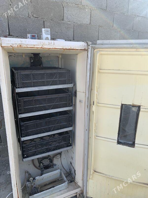 inkiwator - Балканабат - img 3