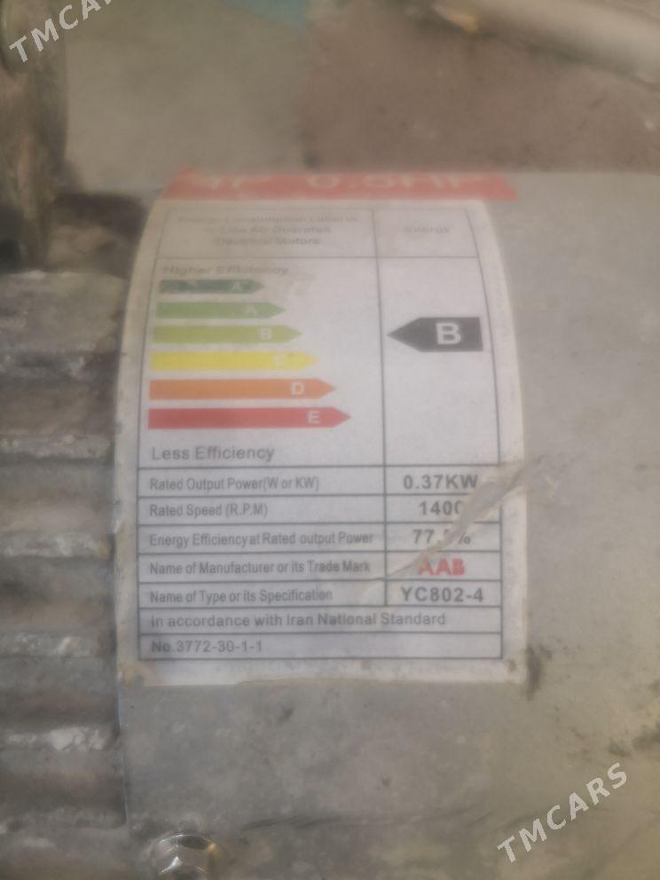 Hamyr meşalka - Murgap - img 2