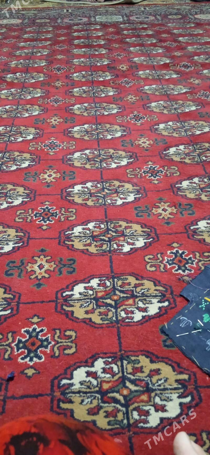 haly ulanlan - Mary - img 2