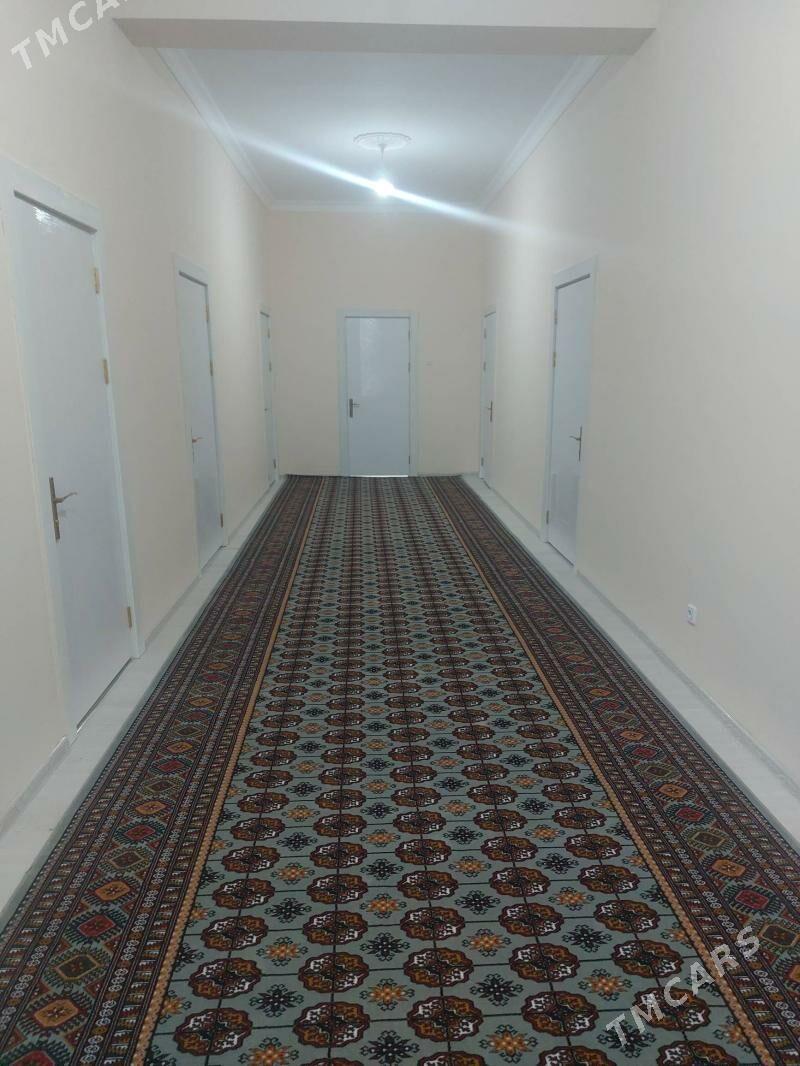 Oguzhan Haly kredit 1-2 ýyl - Daşoguz - img 5