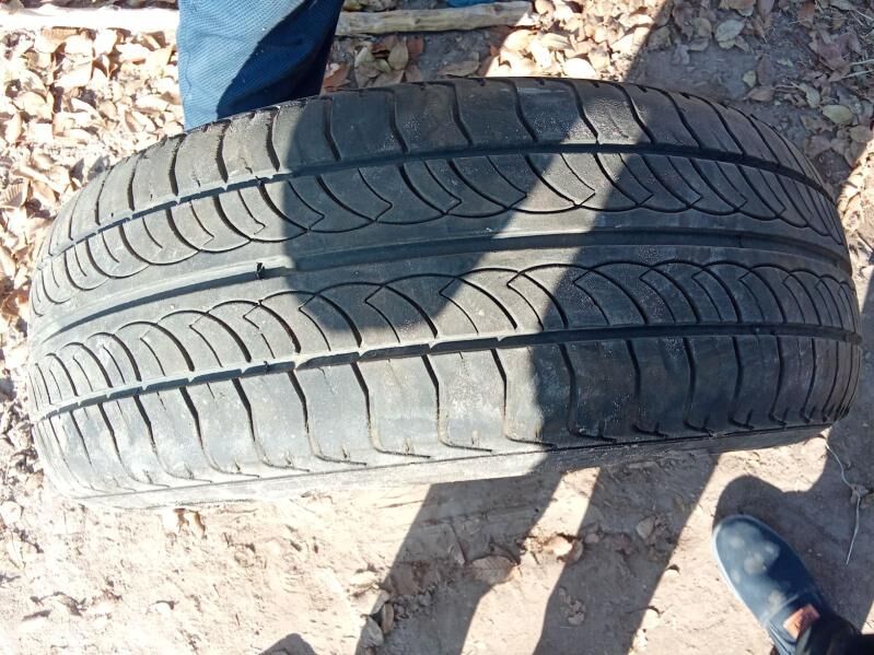 tigir - Губадаг - img 3