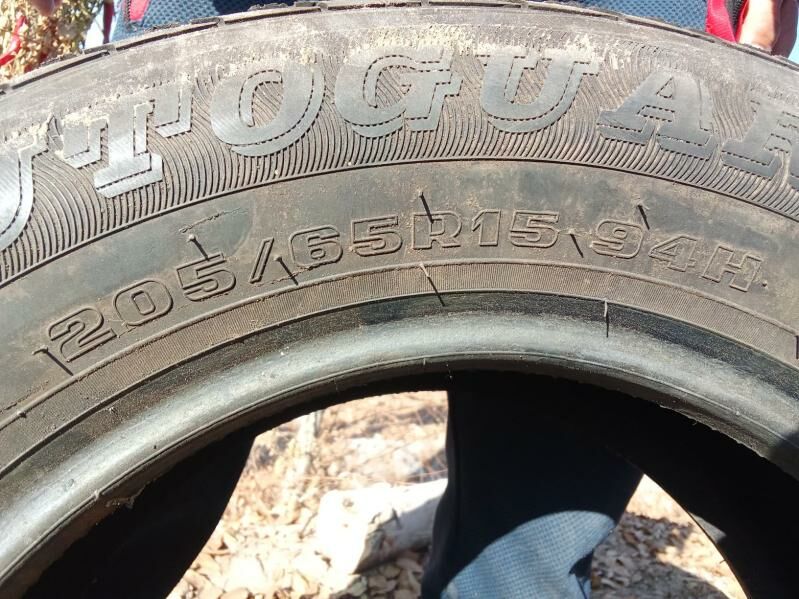 tigir - Губадаг - img 4