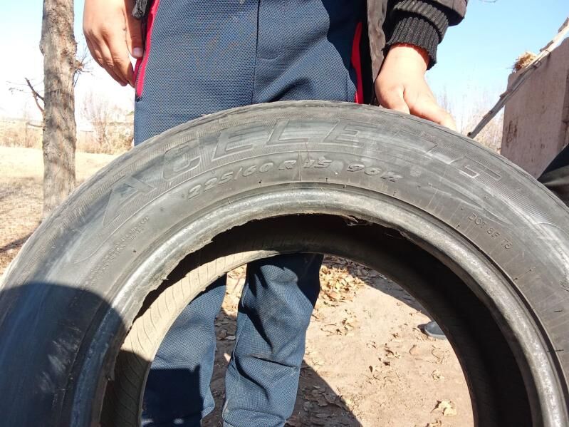 tigir - Губадаг - img 2