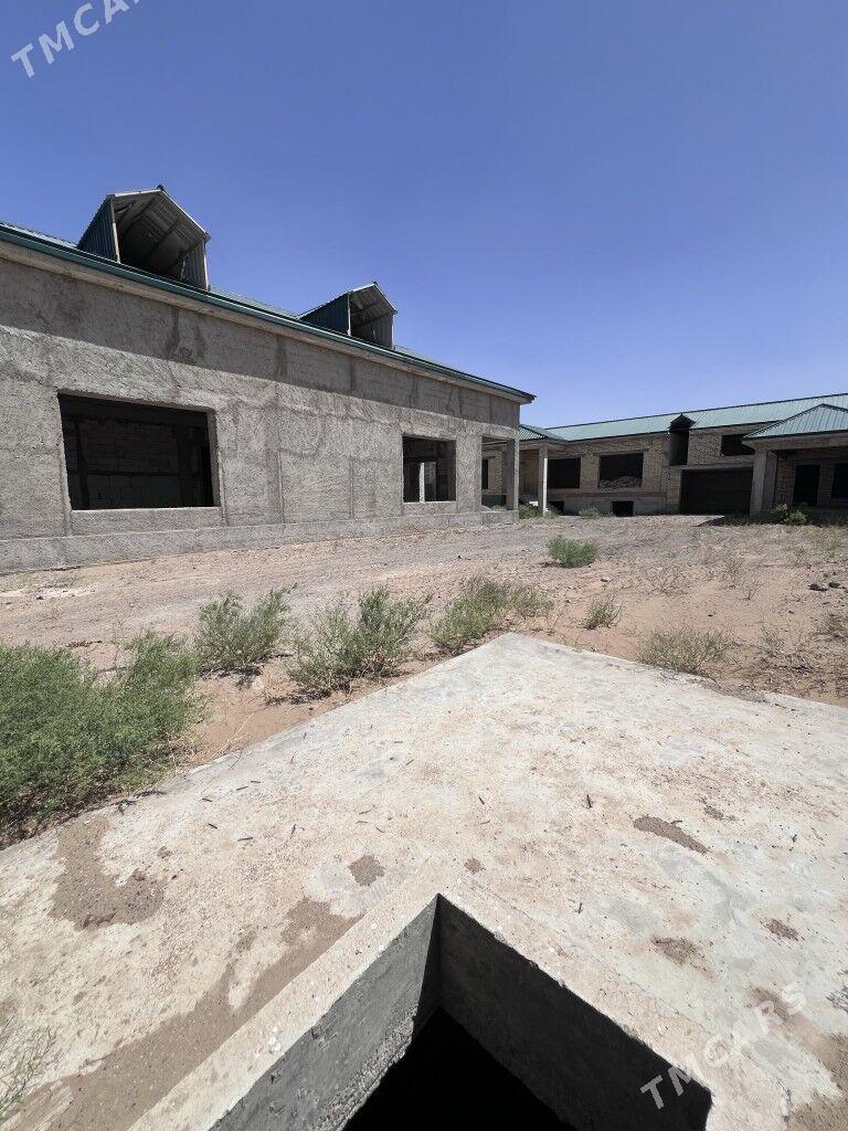  Änew magtymguly 12соток - Ак-Бугдайский этрап - img 4