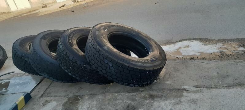 rabacy diskalar we tekerler 800 TMT - Ak bugdaý etraby - img 4