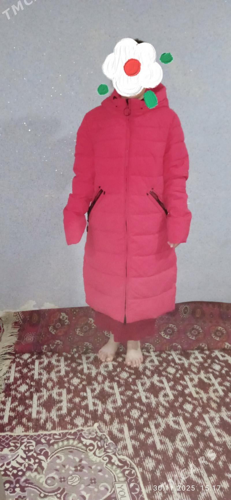 kurtga - Daşoguz - img 2