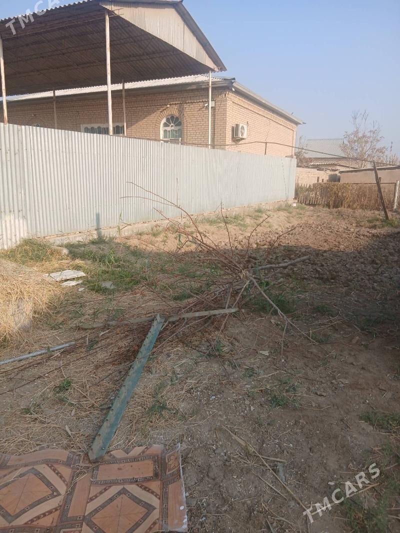 gury ot - Mary - img 3