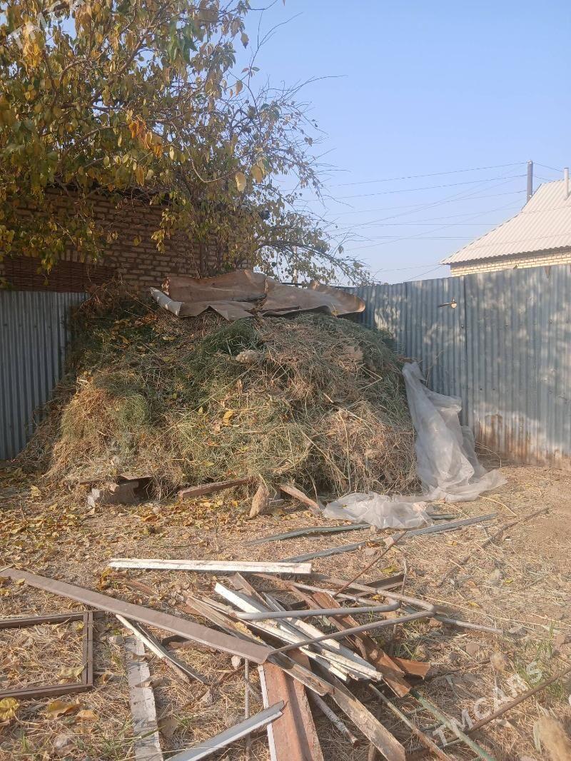 gury ot - Mary - img 1