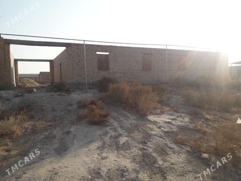 Çöl mellek jay - Саят - img 2