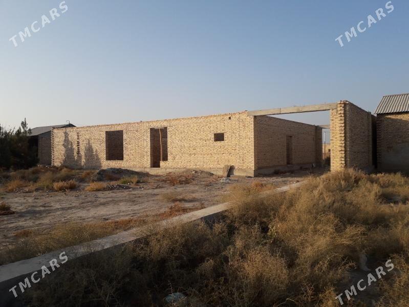 Çöl mellek jay - Саят - img 3