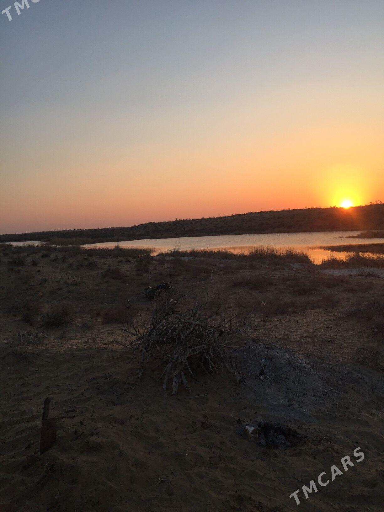 Mellek ýer - Гороглы (Тагта) - img 2