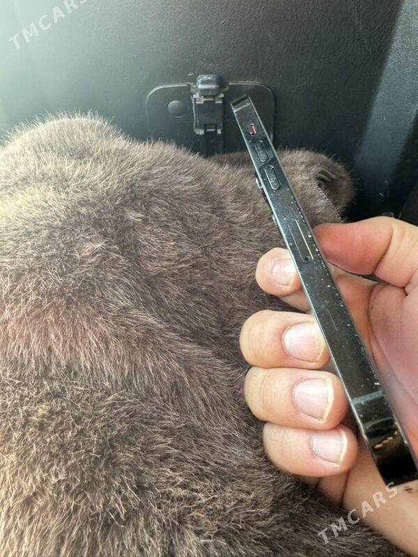 Iphone 14pro - Aşgabat - img 2