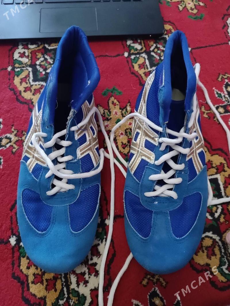 Barsowka - Büzmeýin - img 2