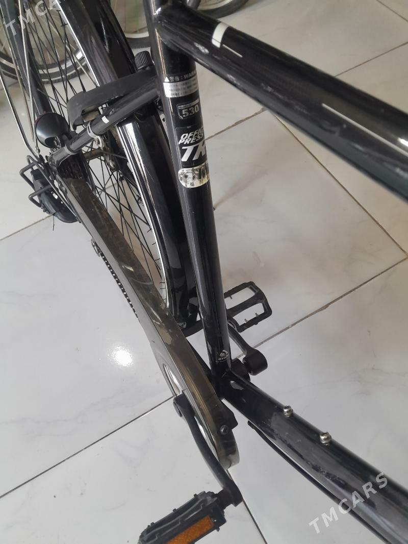 Yaposga 28 lik - Мары - img 2