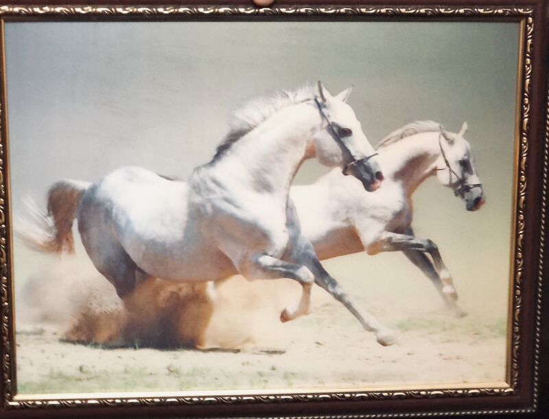 картина - Ашхабад - img 3