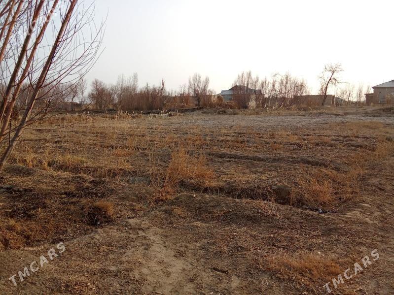 şatlyk jay - етр. Туркменбаши - img 1