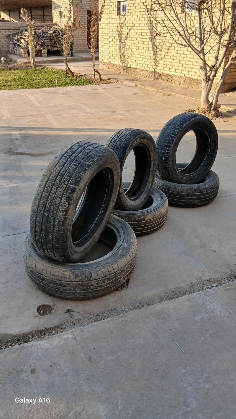 Teker ayak 150 TMT - Mary - img 2